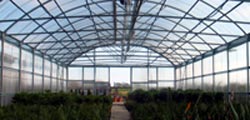 big greenhouse