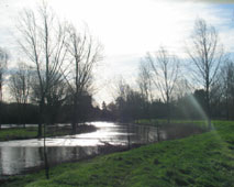 river close to bursting banks